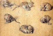 GAINSBOROUGH, Thomas Six studies of a cat China oil painting reproduction